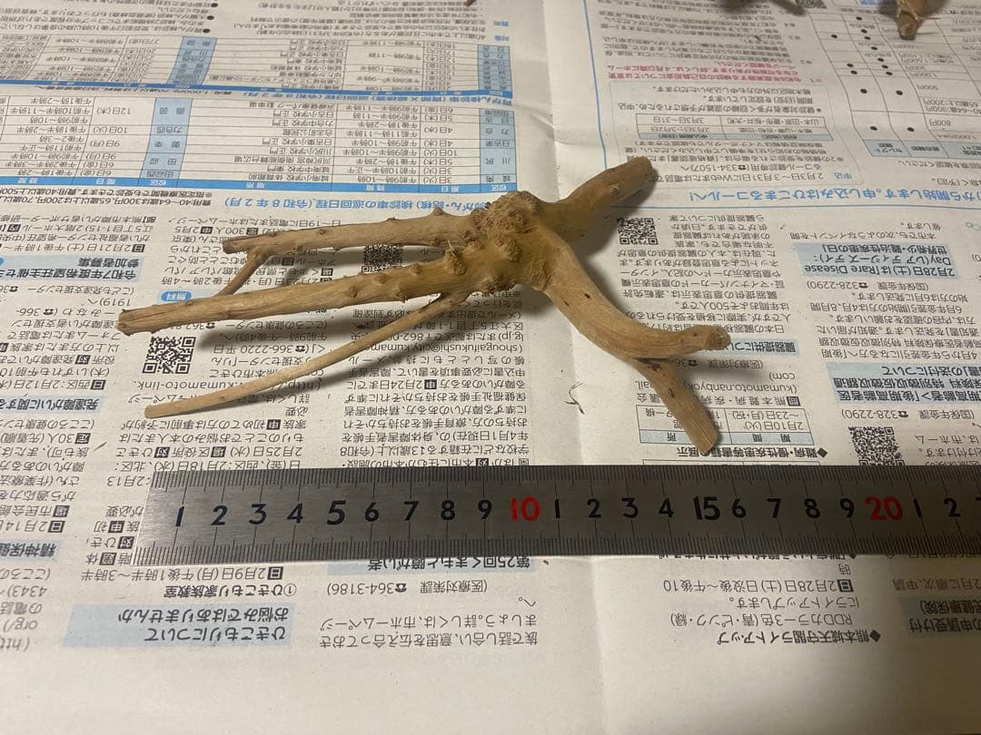 ブランチウッド　17点 まとめ品　未使用品