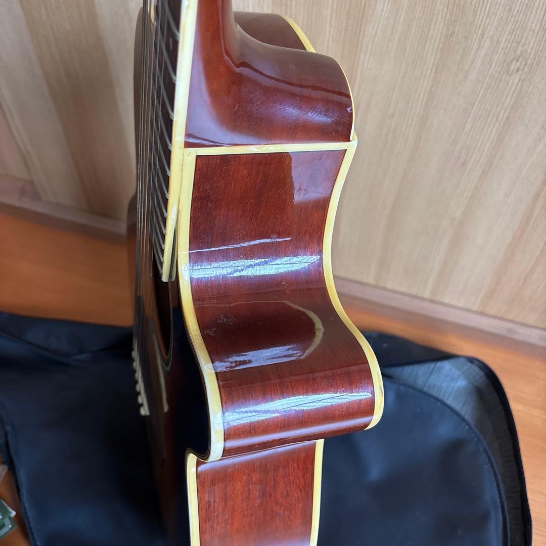 エレクトリック・アコースティックギター　Pro Martin EA500W VS