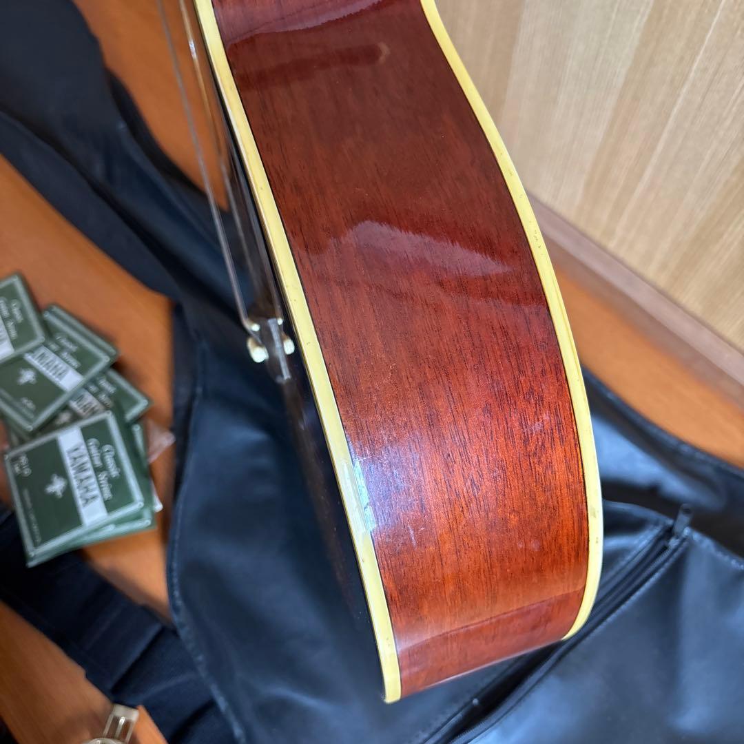 エレクトリック・アコースティックギター　Pro Martin EA500W VS