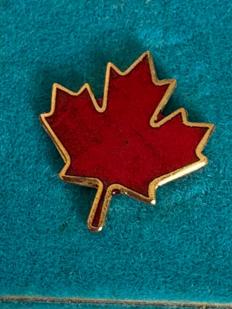 昭和レトロ　expo70 外国パビリオン　記念バッチ　ビンテージ　大阪万博　レア