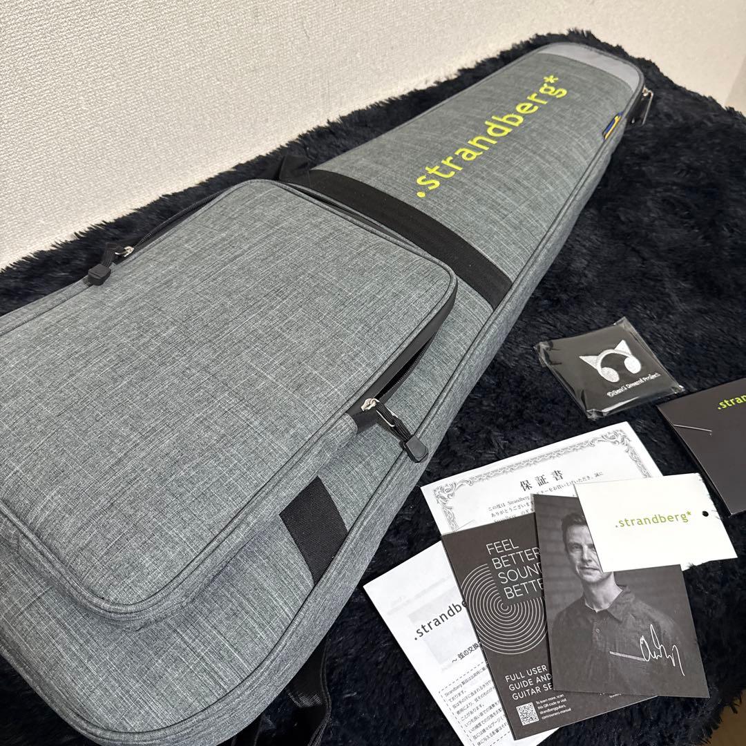 最終価格 Strandberg Boden RAS6 朝日六花モデル