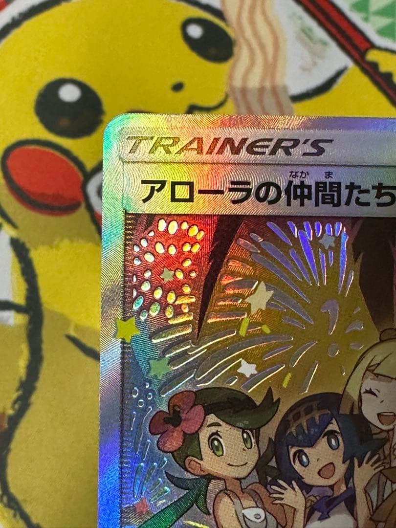 犬*様 アローラの仲間たち：リミテッドコレクション　マスターバトルセット PRO