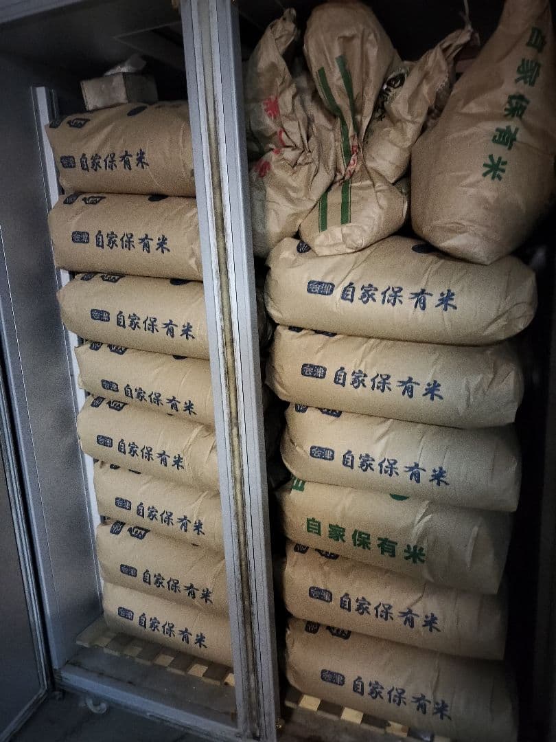 令和7年産会津コシヒカリ 新米　30kg玄米　精米可　冷蔵保存