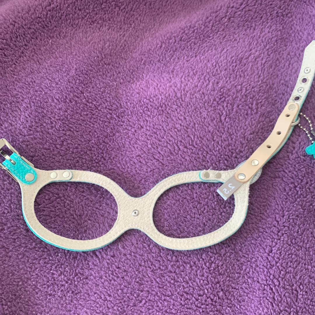 バディーベルト★ハーネス2.5号☆ティファニーブルー　スワロ付き★2kg前後