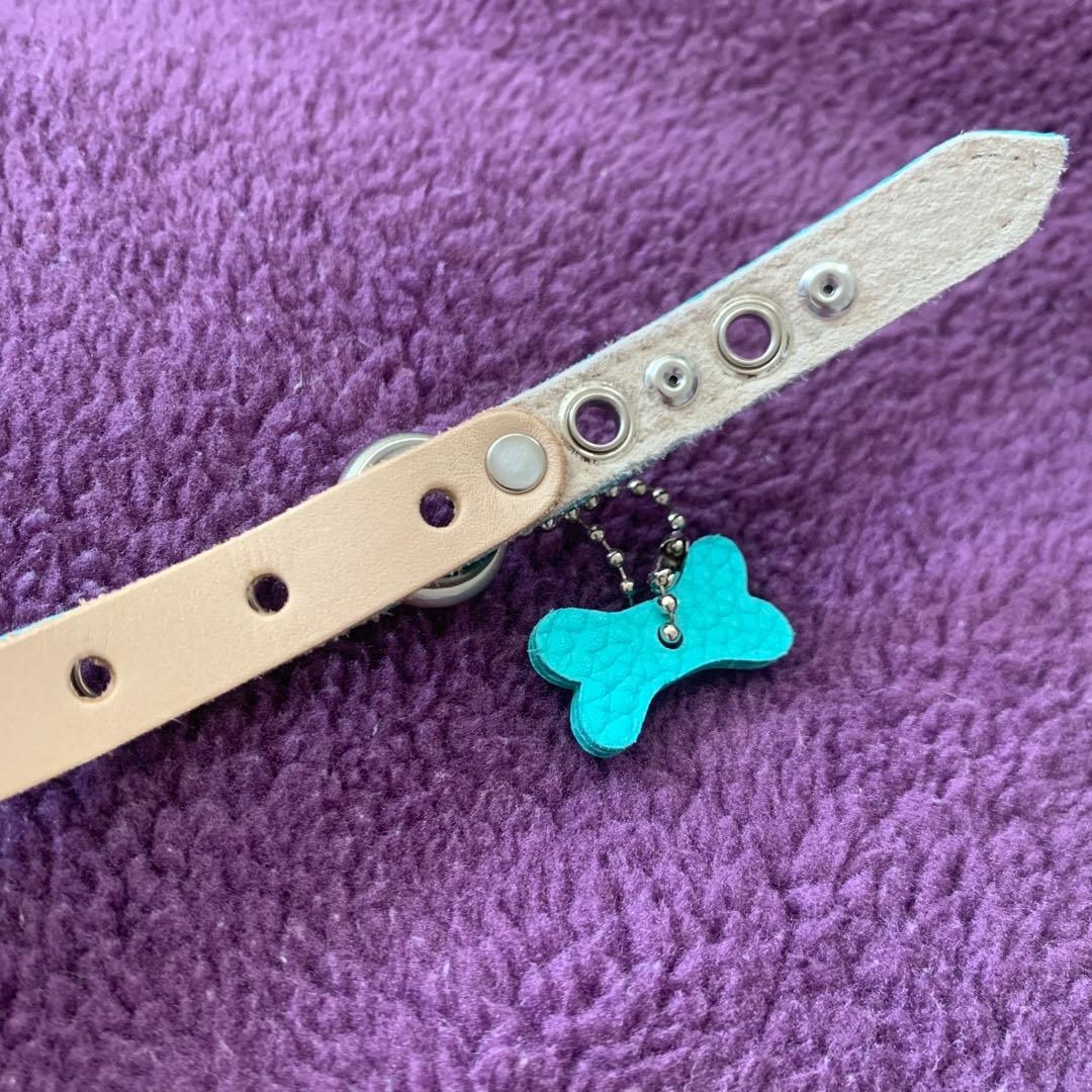 バディーベルト★ハーネス2.5号☆ティファニーブルー　スワロ付き★2kg前後