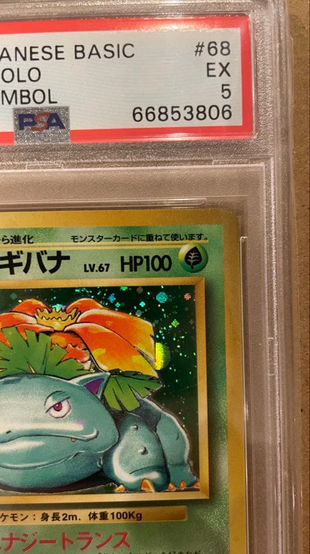 PSA5 旧裏 フシギバナ 初版マークなし