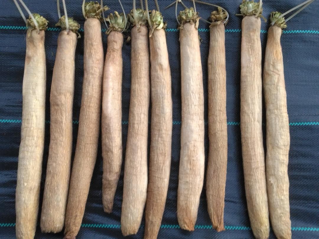 【あまざけ】さん専用の商品