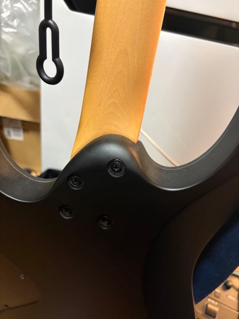 [美品]Ibanez rg421ex