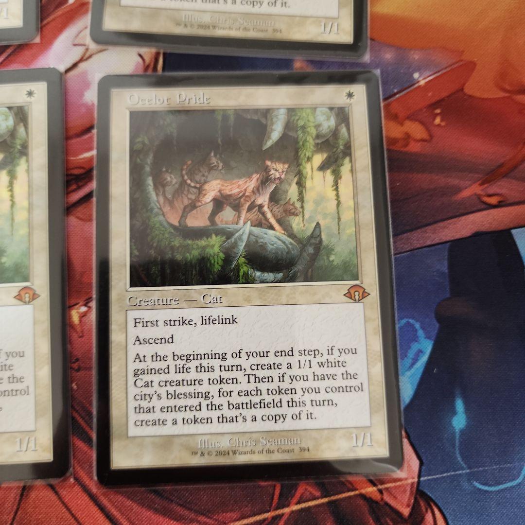 オセロットの群れ　4枚