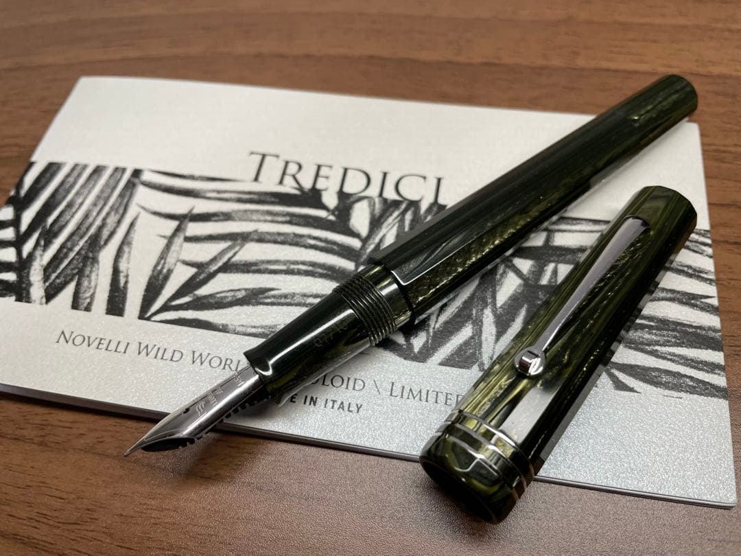 万年筆 レオナルド Wild World Celluloid LE