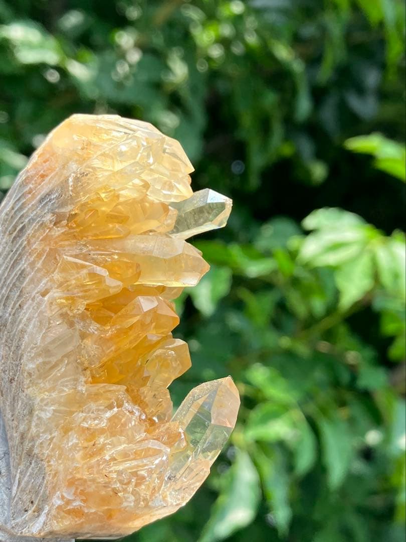 水晶　クラスター　リス　モチーフ　Ｂ