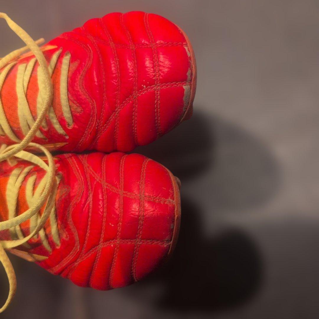 モレリアネオ4β　24cm　フェアリーコーラル×ボルト