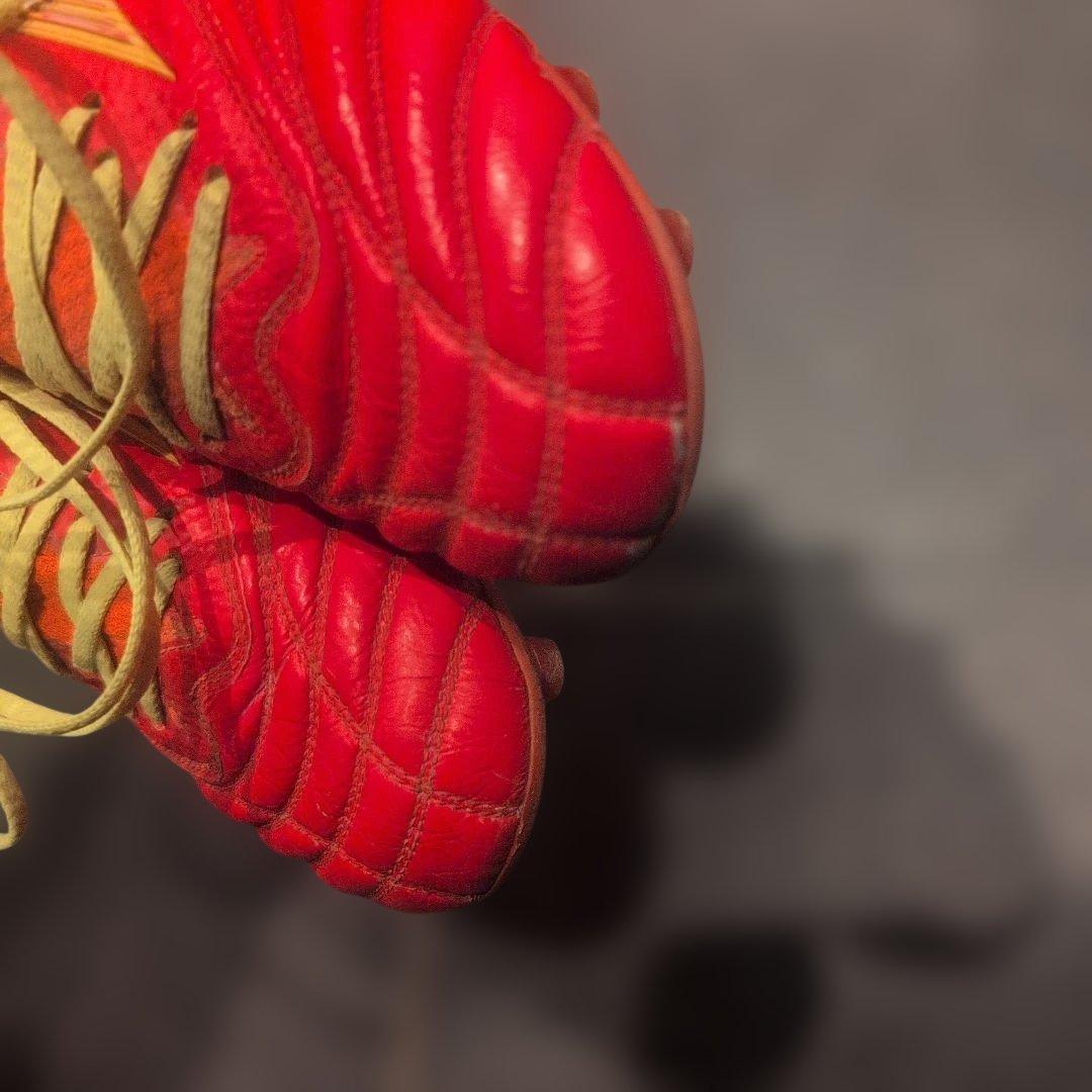 モレリアネオ4β　24cm　フェアリーコーラル×ボルト