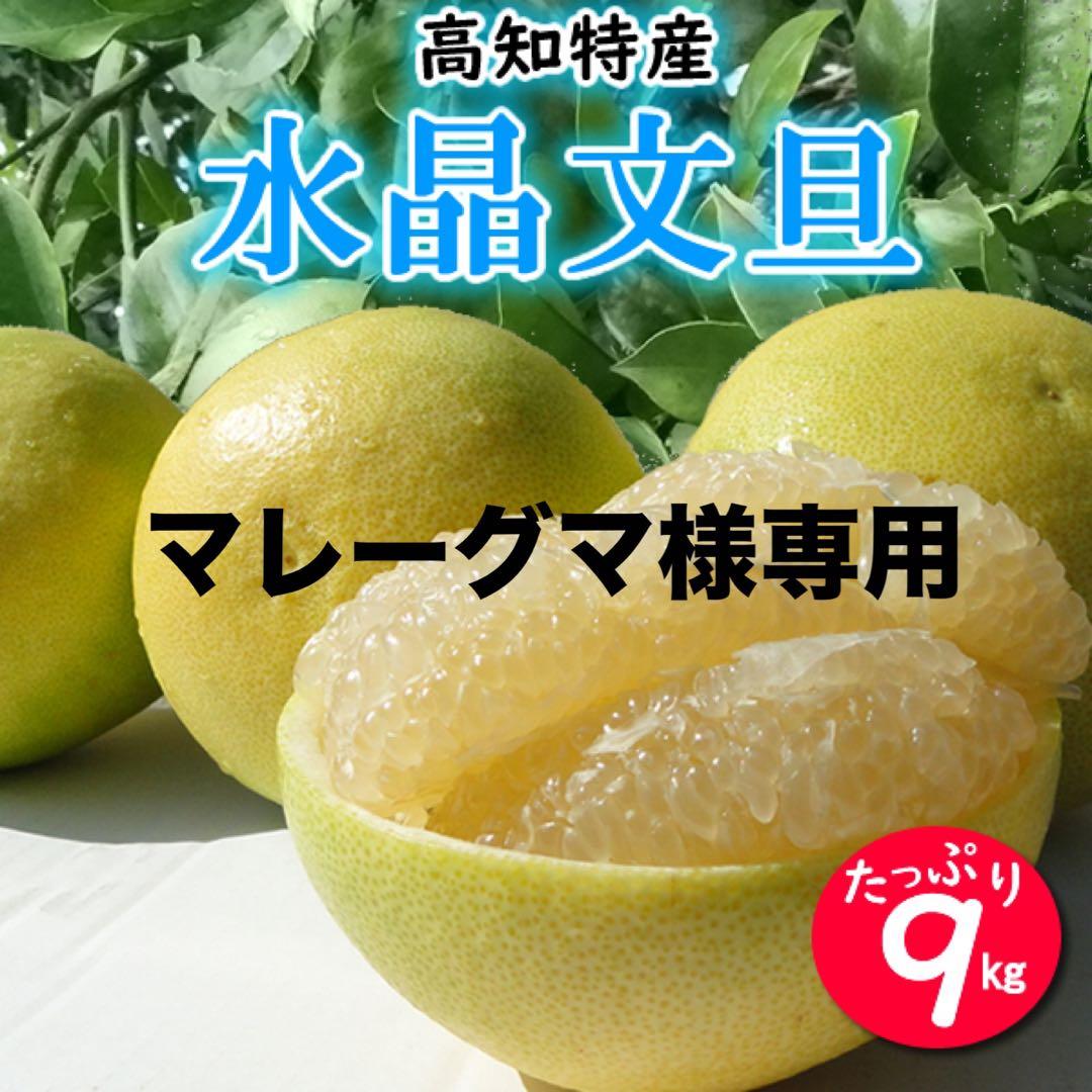 マレーグマ ご家庭用　高知特産　水晶文旦　サイズおまかせ　約9㎏
