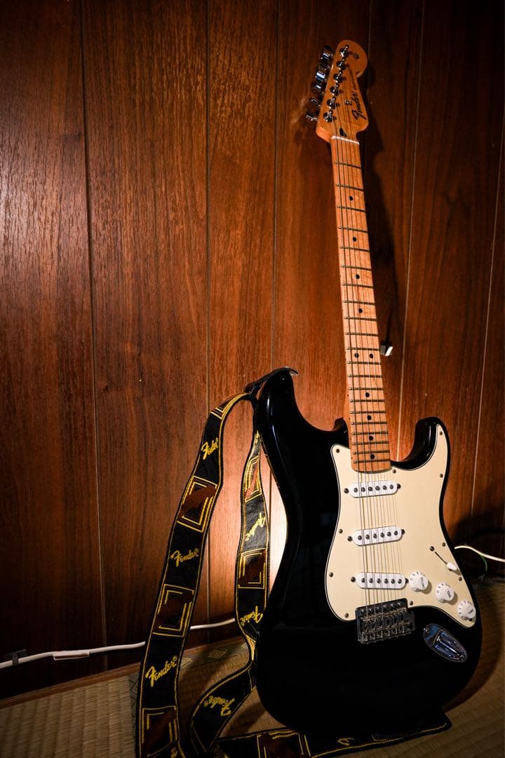 ギター Fender Standard Stratocaster Black