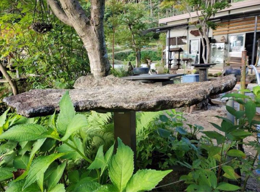 （み148）自然石、平石　盆栽鉢　料理の盛り付け