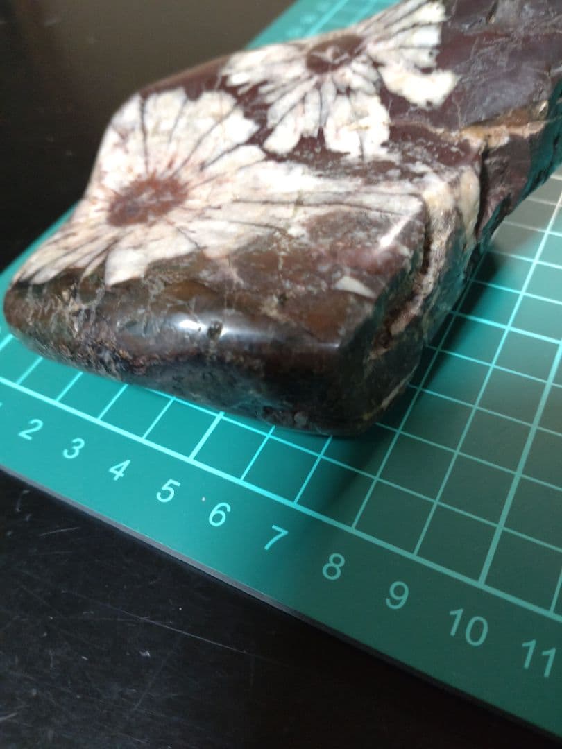 K*0様 菊花石 ピンク花　孔雀部分　根尾 鑑賞石 水石 自然石　木製・花梨の台