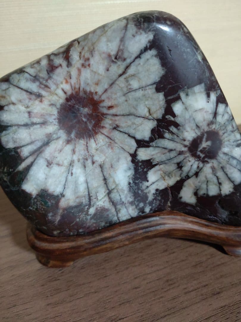 K*0様 菊花石 ピンク花　孔雀部分　根尾 鑑賞石 水石 自然石　木製・花梨の台