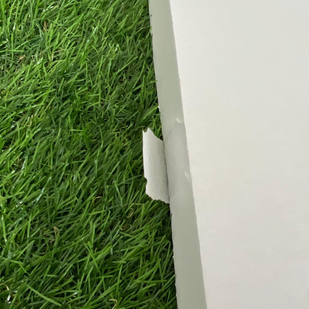 【非売品】ポケモン ミラーアートボード 黒いレックウザ & ピカチュウ