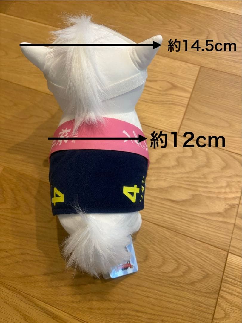 サラブレッドコレクション ソダシ