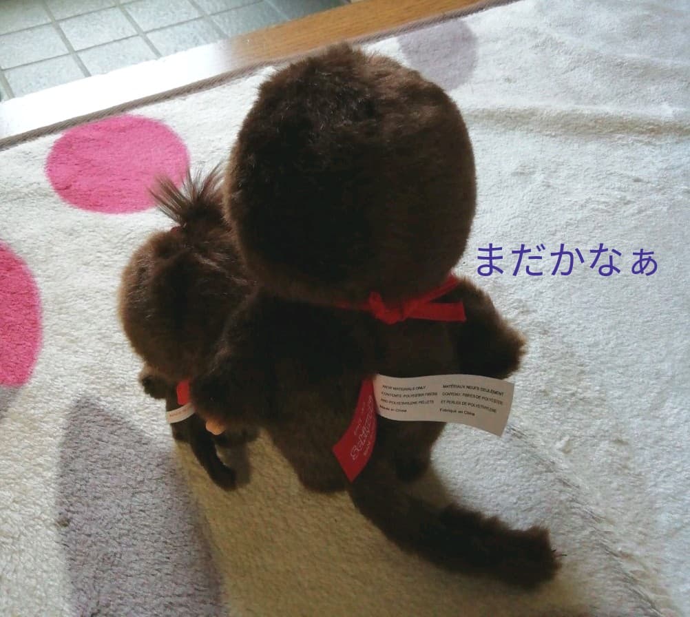 マイチッチちゃん　お直し進捗報告♫