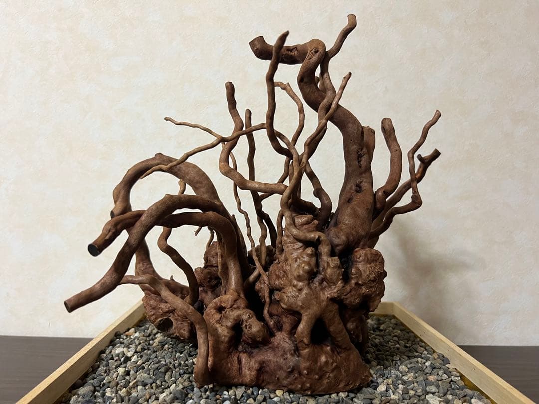 10936 ブランチウッド　流木　アクアリウム　沈水確認済