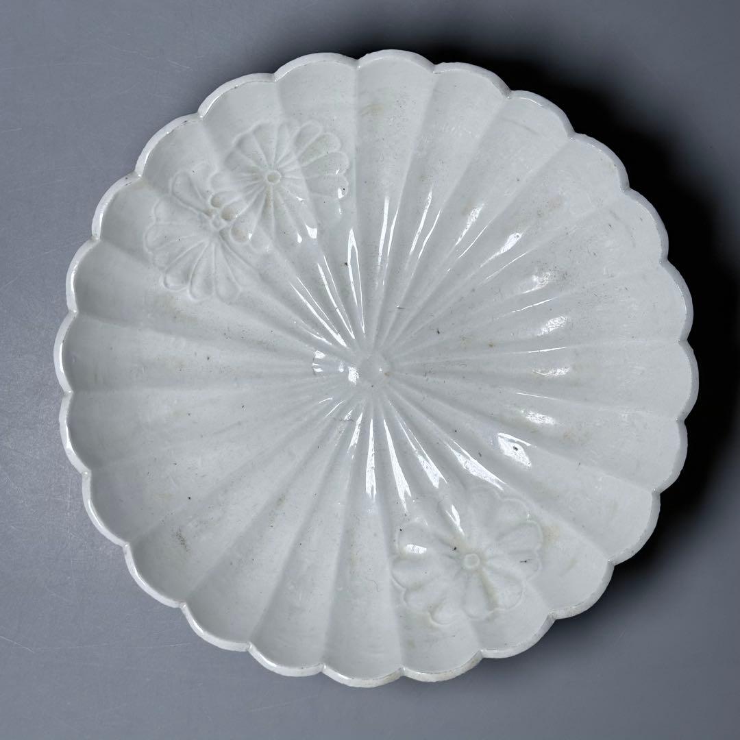 江戸中期　白磁菊花形膾皿　陽刻菊花文様　粉挽　古陶を楽しむ　17cm　大きめ