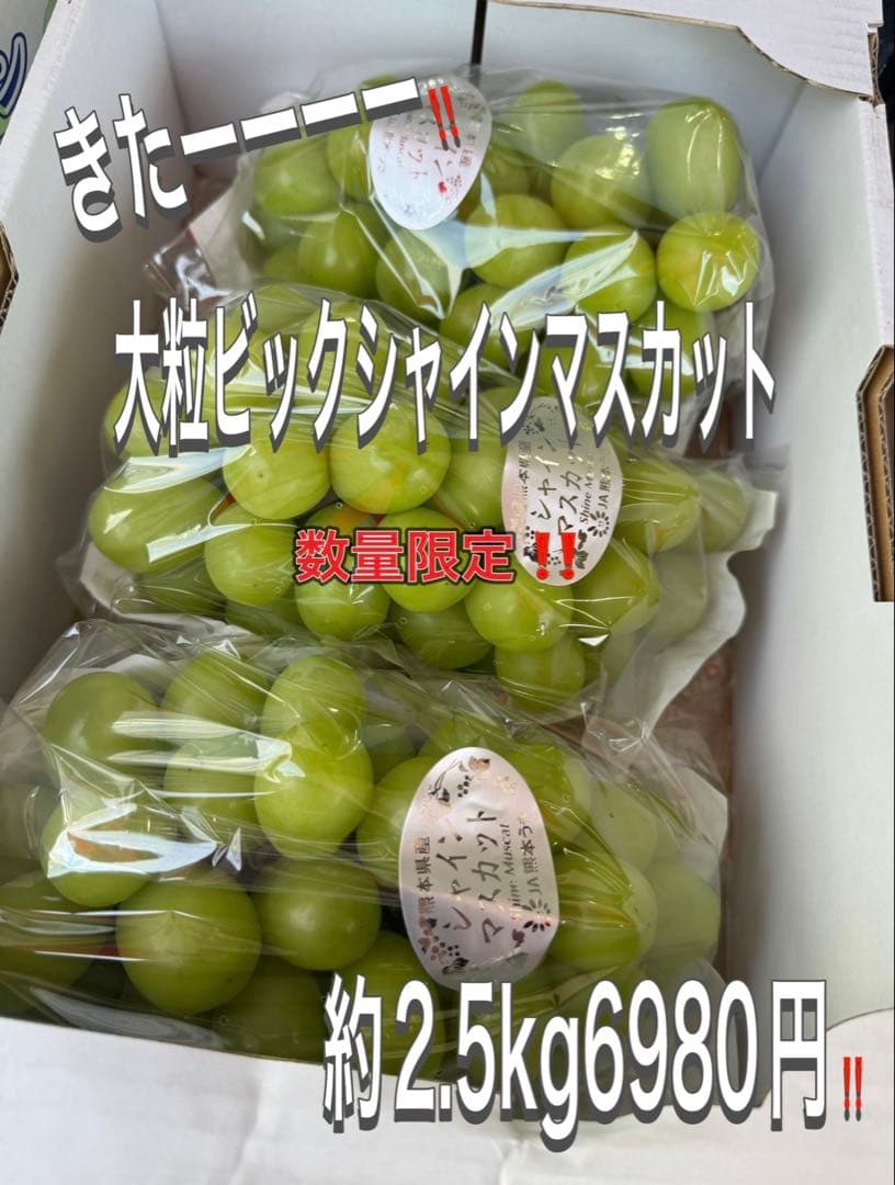 乙女庵さん2箱専用　⭐︎