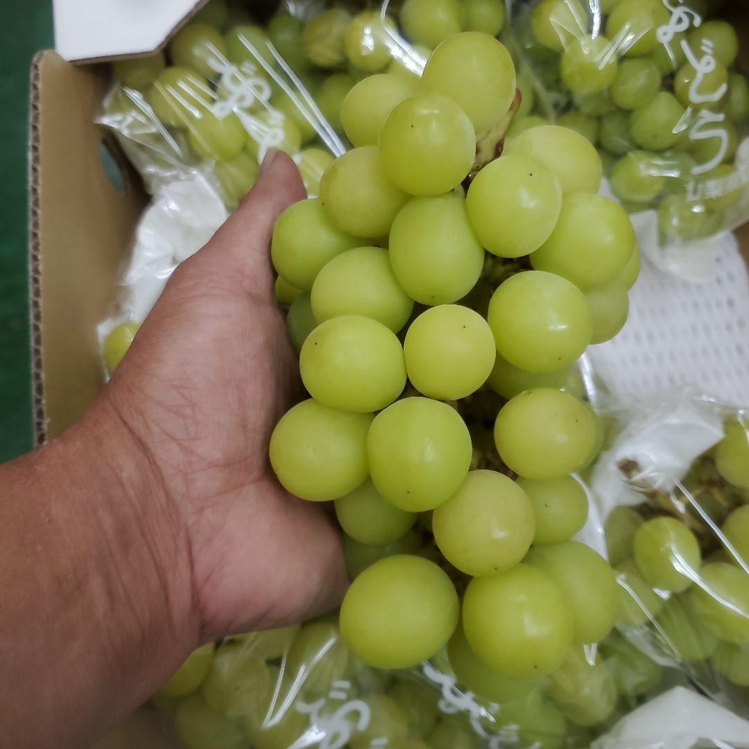 2️⃣ 山梨県産 シャインマスカット １１房入り 箱込み5.5キロ