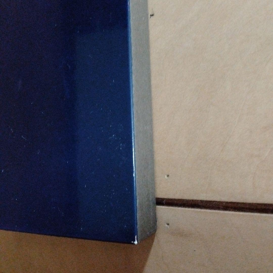 稲妻２世芦毛タマモクロス写真パネル（１９８８年１２月２５日中山有馬記念）引退記念