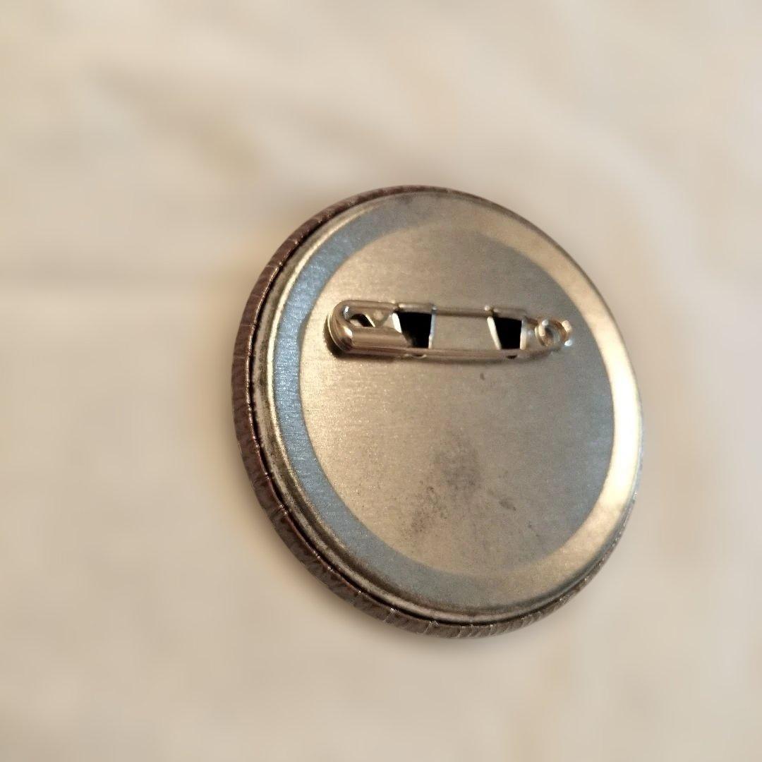 鬼滅の刃 バレンタイン 柱 プリロール 缶バッジ