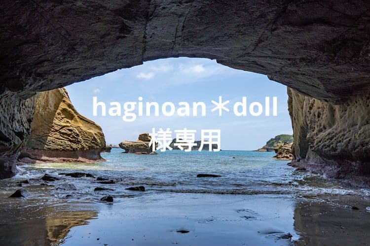 種子島安納いも 2Sサイズ 20㎏