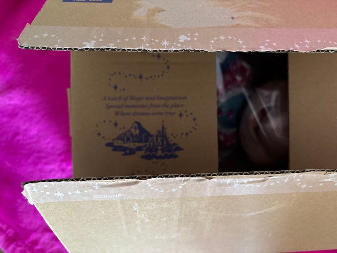 ミニー ファンダーランド ぬいぐるみ ミニパル パルパルーザ ディズニーランド