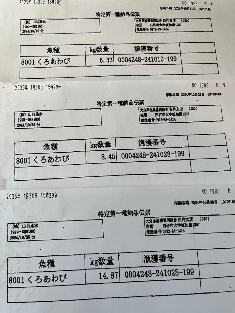 ケイゴ。⭐️冷凍アワビ⭐️１個200/300gを10キロ。