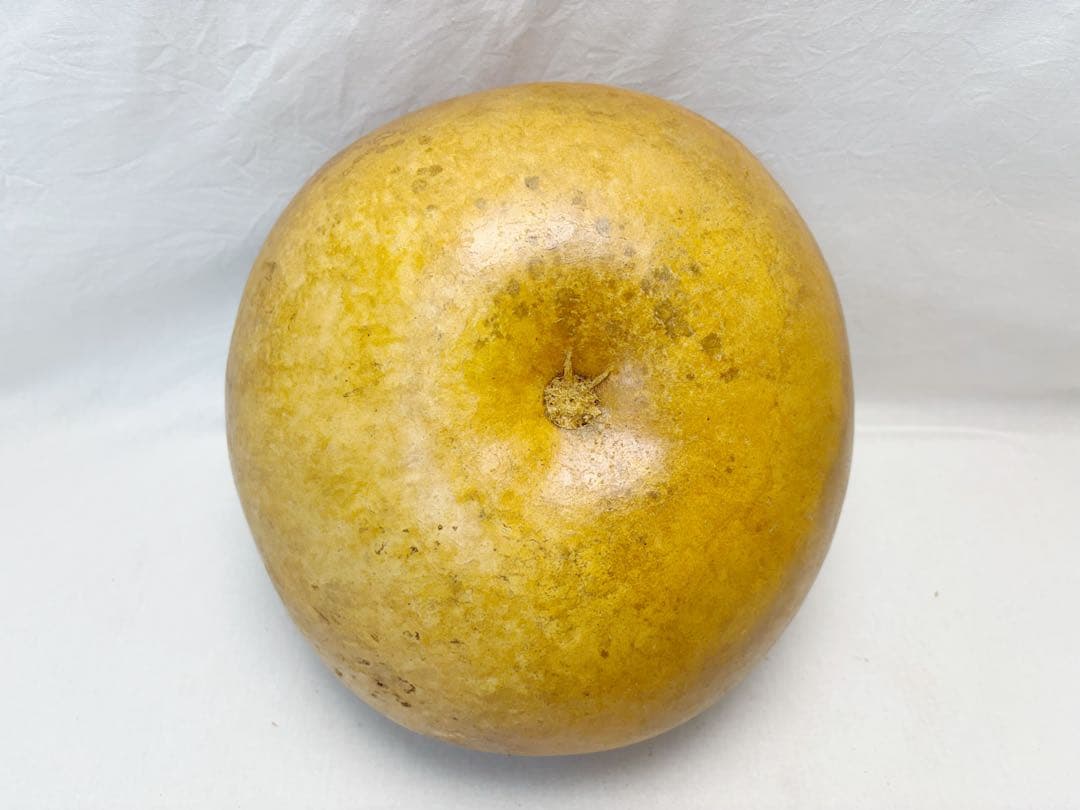 未使用 茶道具 ふくべ炭斗 瓢炭斗 瓢炭取 炉用炭斗 炭入れ