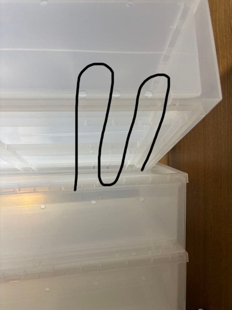 スネークラック 自作