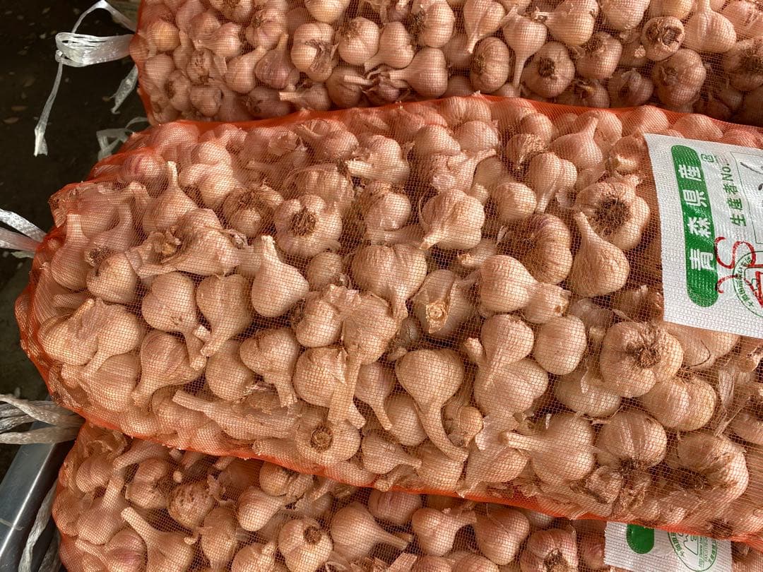 新物　青森県にんにく20KgS.SS