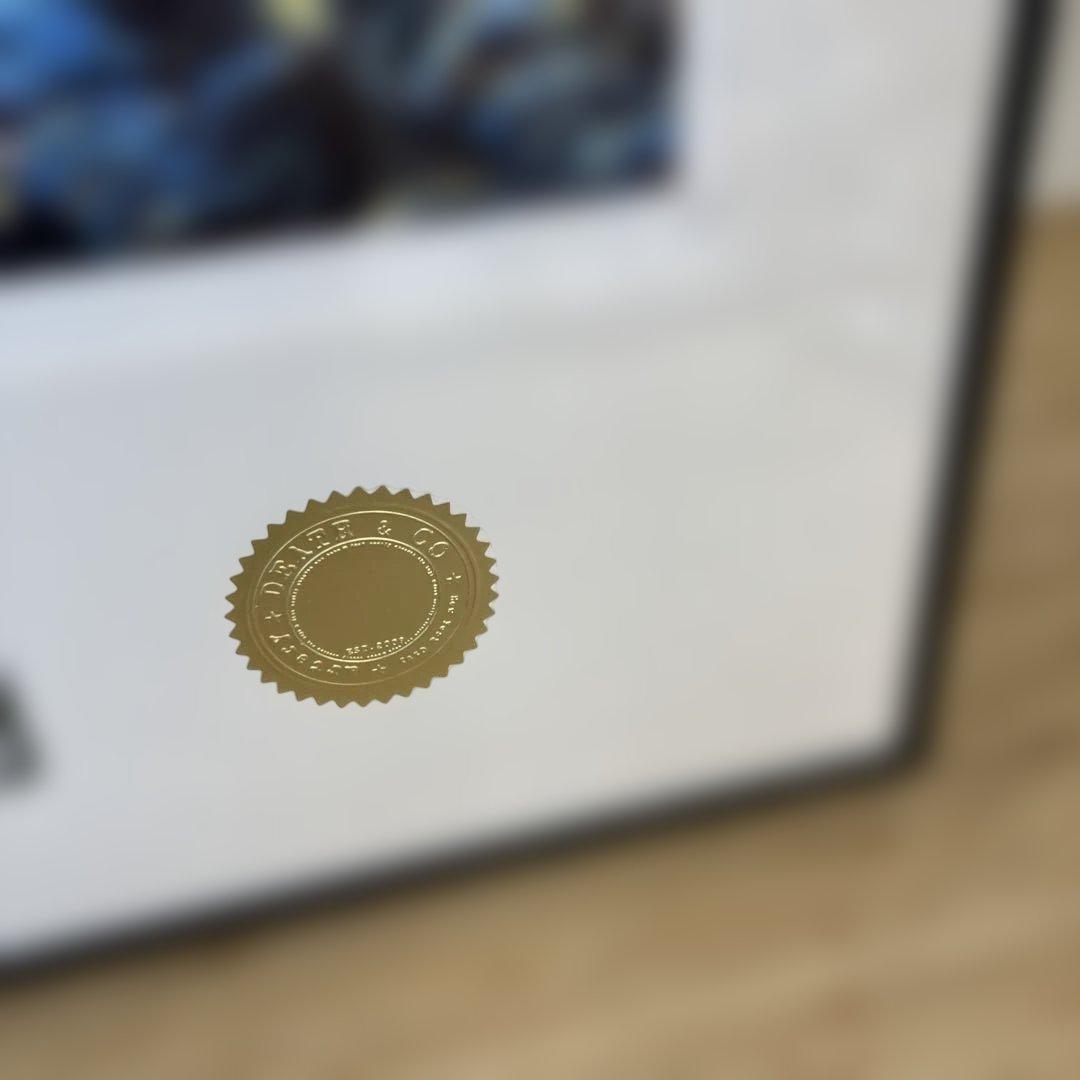 DEATH NYC 鬼滅の刃 冨岡義勇 ゴッホ 星月夜 アートポスター 額付き