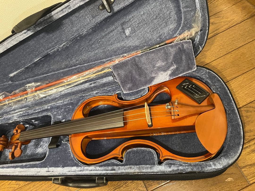 Carlo giordano Silenzia EV202 エレキバイオリン