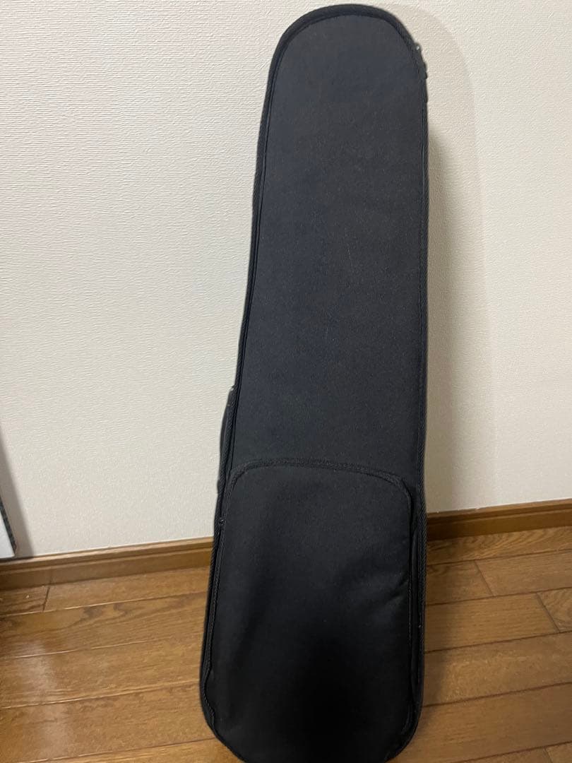 Carlo giordano Silenzia EV202 エレキバイオリン