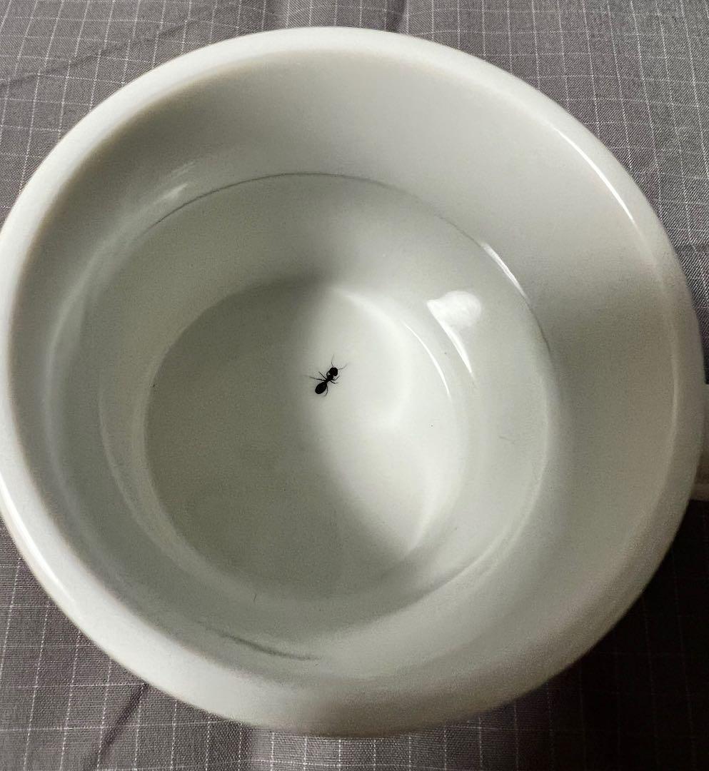 YUKI グッズ　まとめ売り