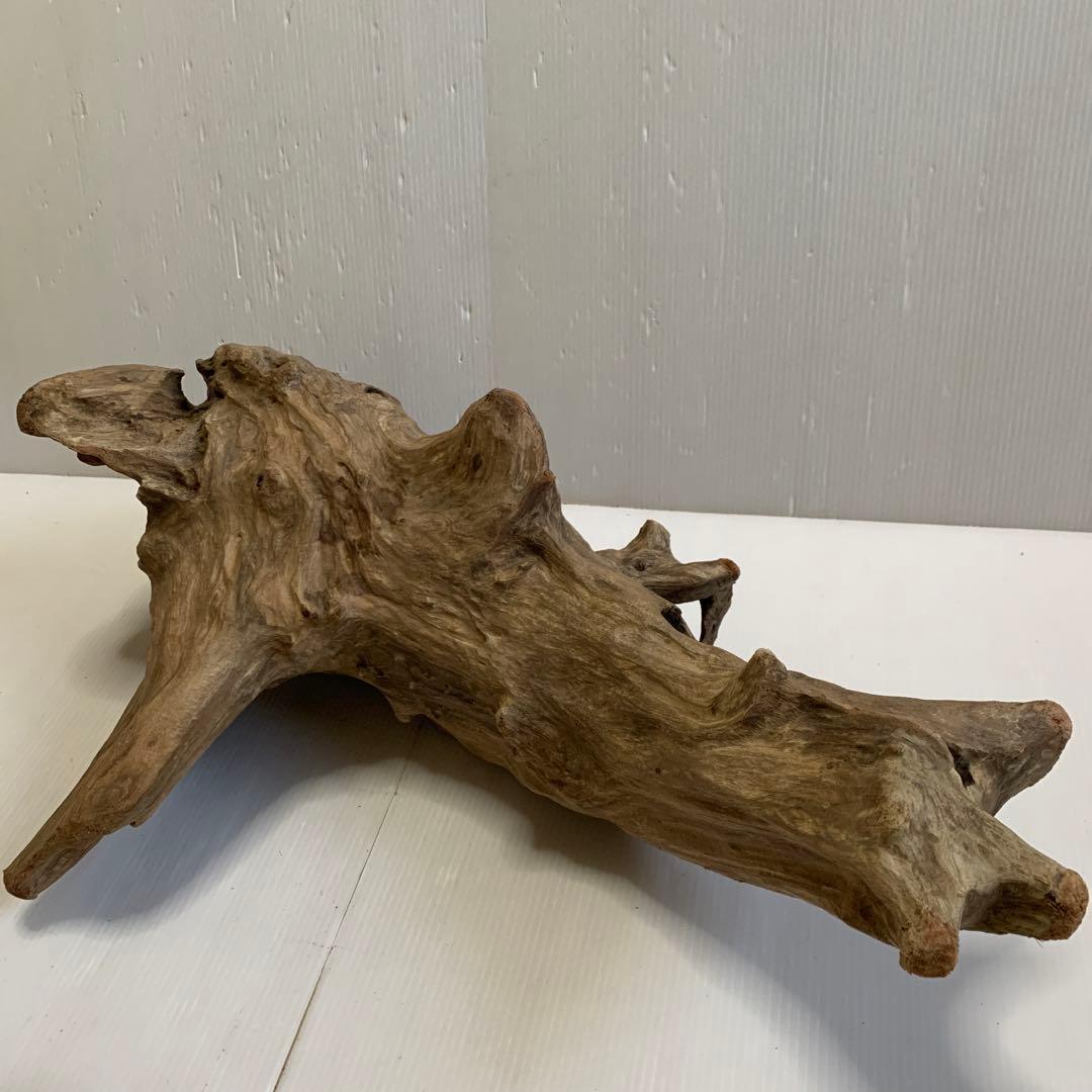 アク抜き済み流木　No.050 .039.031.239.393