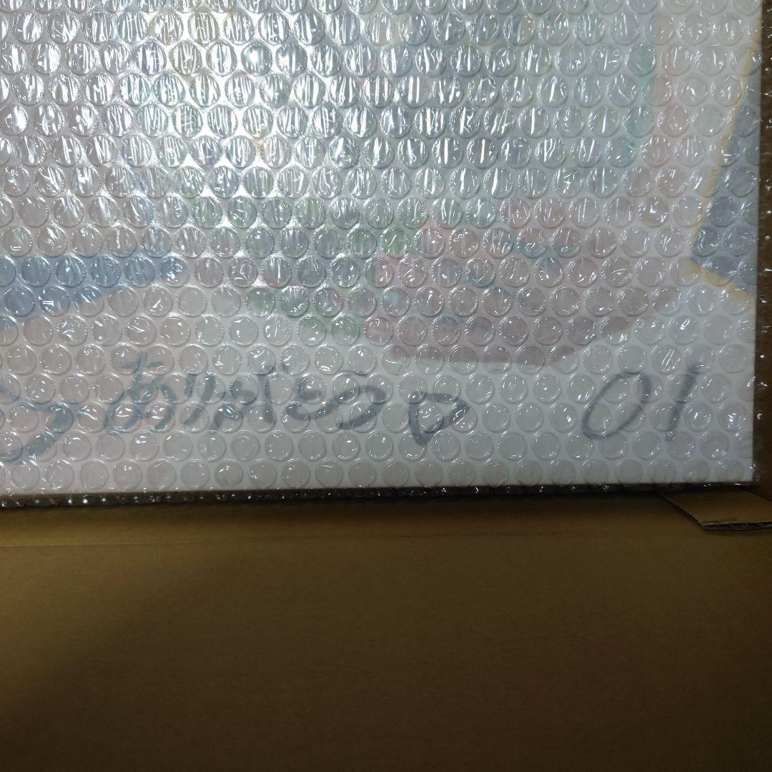 星名美津紀サイン入り写真パネル