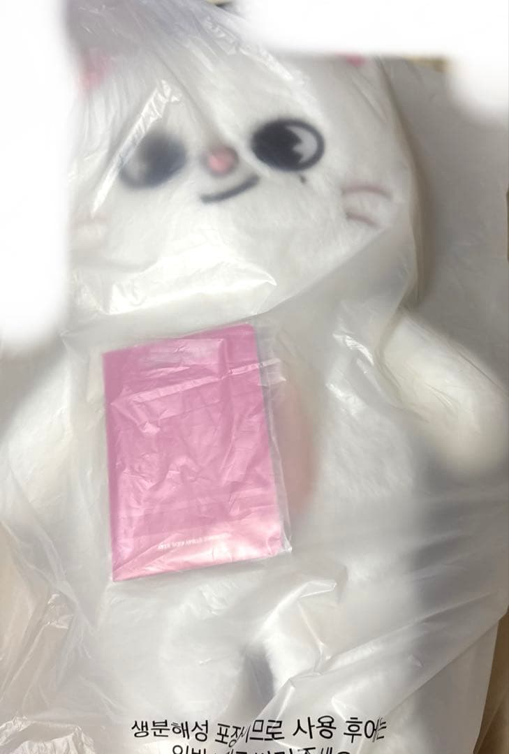 straykids テディベア ぬいぐるみ 5'CLOCK ヒョンジン