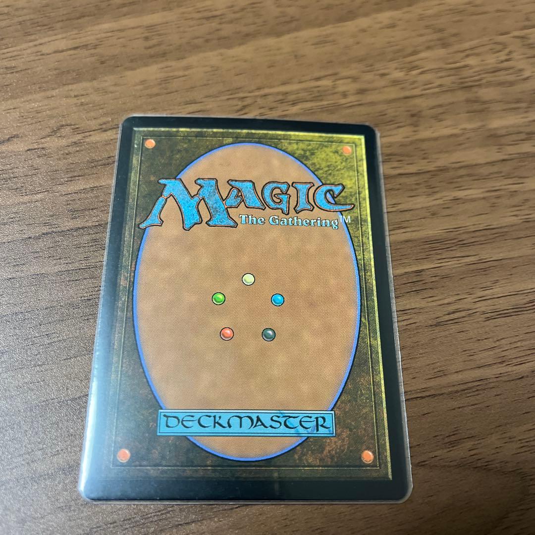 マジックザギャザリング　霧深い雨林　SPG foil 英語