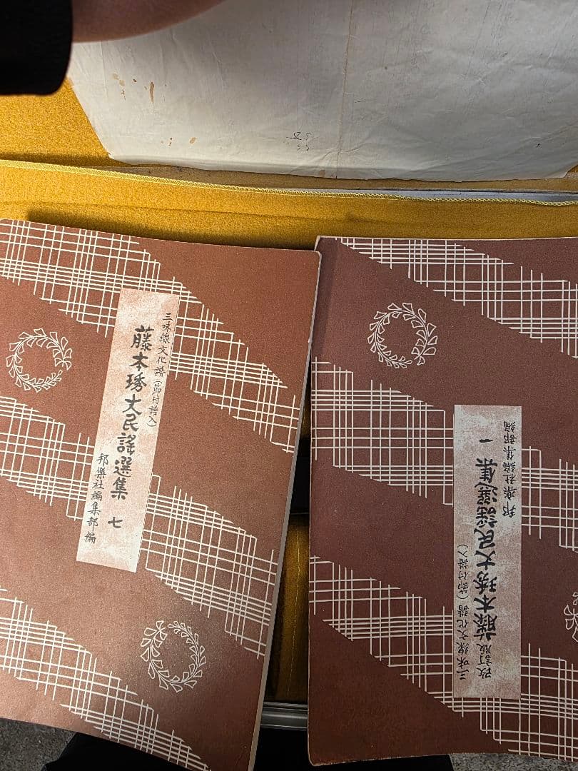 津軽三味線　太棹 和楽器　ハードケース付