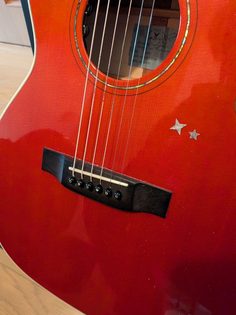 ※超希少 VINCENT-guitar&others アコースティックギター