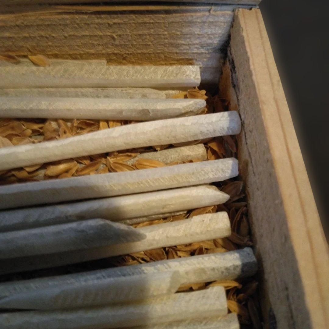 石筆　石板用筆記用具　アンティーク