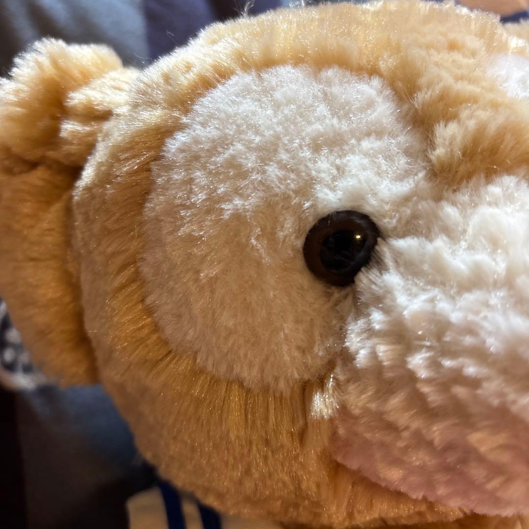 ジャンボリーナイト 帽子なし かなりの激レア