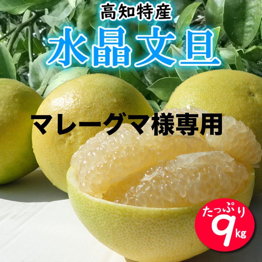 マレーグマご家庭用　高知特産　水晶文旦　サイズおまかせ　約9㎏
